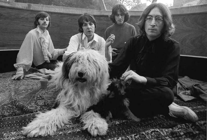 Beatles-1968-dog